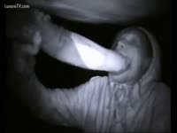 Farmer blowing horse schlong at night